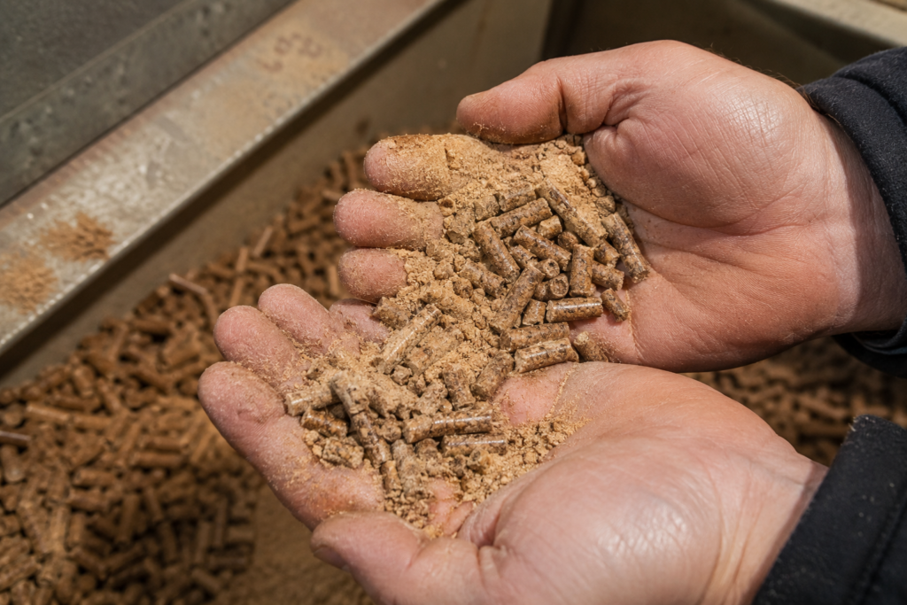 Granulés de biomasse en inspection